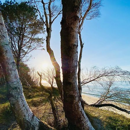 Sea Breeze Apartment Dziwnówek Dış mekan fotoğraf